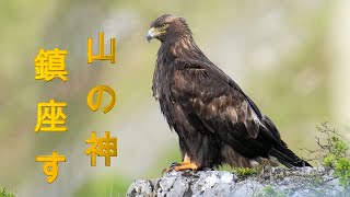 山の神がすぐそこに鎮座したThe mountain god was enshrined right there.