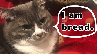 I am bread.【ps4】