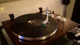 Lone Justice - Dixie Storms vinyl