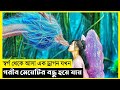 Dragon Fall Movie Explain In Bangla Fantasy Adventure The World Of Keya