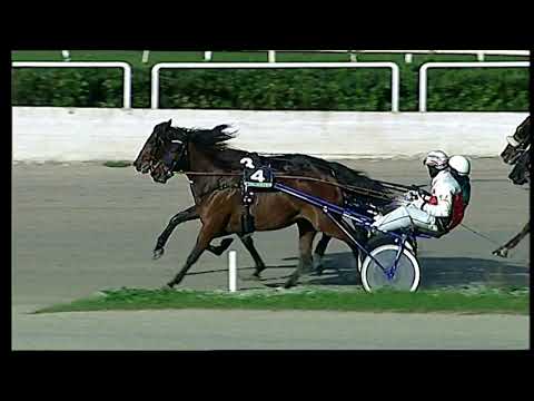 Napoli Trotto 26/11/2021 - 1ª corsa