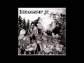 Dinosaur Jr. - Gargoyle