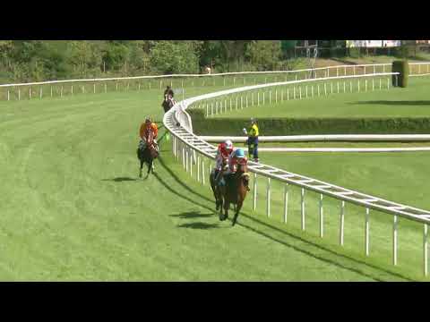 Aarau/26.08.2018/Poneys D - Preis der Intool AG