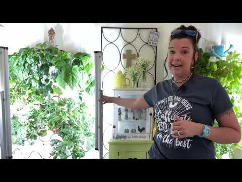 AeroGarden Vs iHarvest - Which one is better?