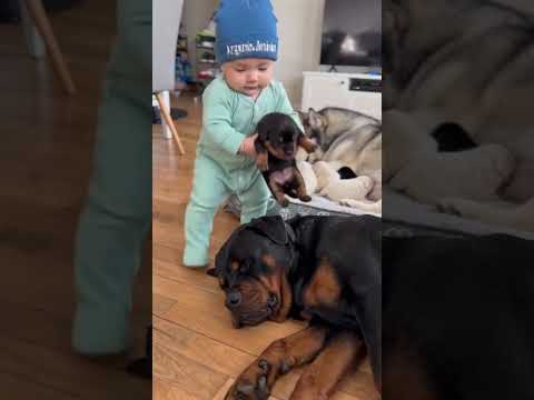 Cada guíen con su responsabilidad