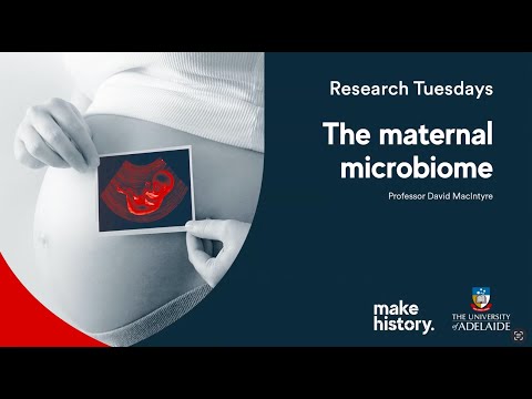The maternal microbiome - Research Tuesdays July 2025