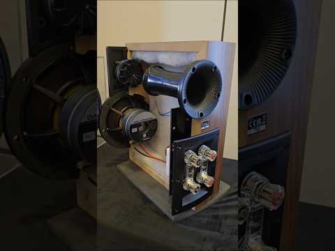 DALI RUBIKORE 2 - BOOKSHELF SPEAKERS - BACK VIEW - What's inside 2-Way BASS REFLEX HiFi SPEAKER BOX