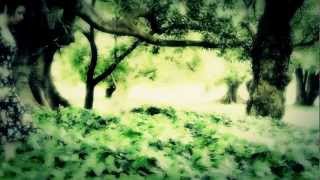 Life In Motion FEARLESS official music video