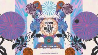 Down The Rabbit Hole 2016