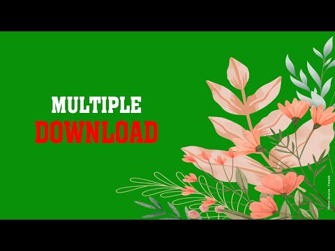 Green Screen Floral, Green Screen Motion Graphics, floral green screen wedding effects 75