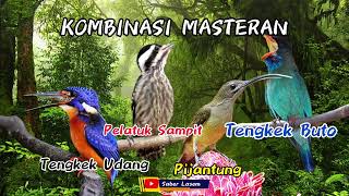 Download lagu MASTERAN KOMBINASI // PLATUK SAMPIT - TENGKEK UDANG - PIJANTUNG - TENGKEK BUTO mp3 Download lagu MASTERAN KOMBINASI // PLATUK SAMPIT - TENGKEK UDANG - PIJANTUNG - TENGKEK BUTO mp3