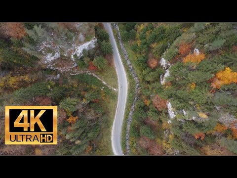 Dambovicioara Gorge / Canyon. Stunning Mountain Pass. Defileul Dambovicioara, 4K Video