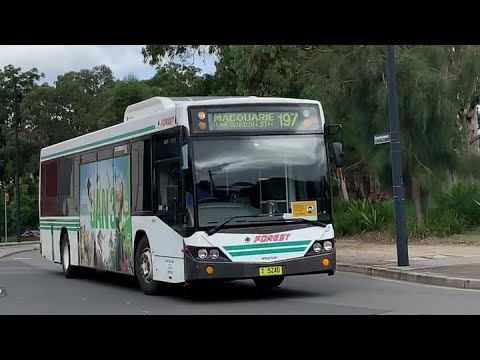 2190ST Transport Vlog 139: [CDC Forest Coachlines] First ZF Ecolife on Volvo B7RLE (CC) (5240 197)
