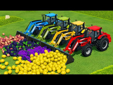 LOAD & TRANSPORT APPLES, BLACKBERRY, GRAPES AND LEMONS WITH CASE TRACTORS - Farming Simulator 22