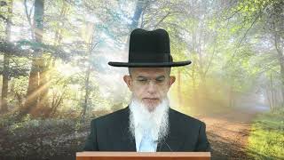 דרך השם רמח"ל I חלק ב - פרק 4, ישראל ואומות העולם I הרה"ג יוסף הללויה שליט"א I שיעור 110