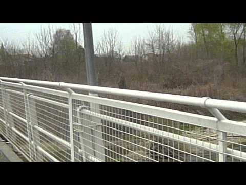 Torrente  Elvo a Casanova Elvo