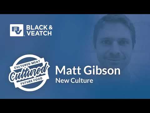 Matt Gibson of New Culture - YouTube