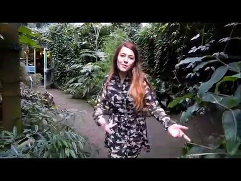 STOPROCENT POMPUJ RAP 4 - Lina Mosa