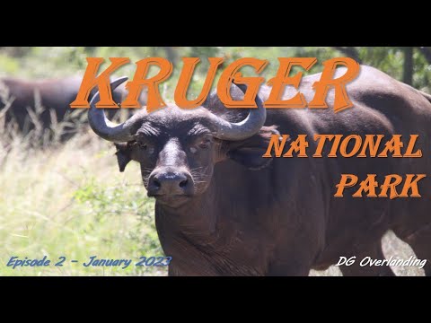 Episode 2 - Kruger National Park - South Africa - DG Overlanding - Jan 2023
