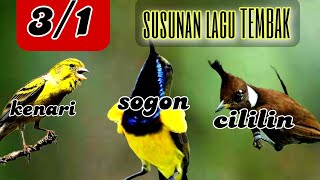 Download lagu Masteran 3 in 1 Kenari-Sogon-Cililin🔴irama lagu tersusun rapi mp3