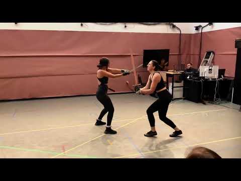 Sarah Fanous Stunt Reel