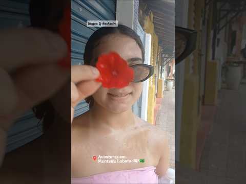 Nossa aventuras na Cidade Monteiro Lobato-SP 🇧🇷 #shorts #aventuras #passeio #family #c