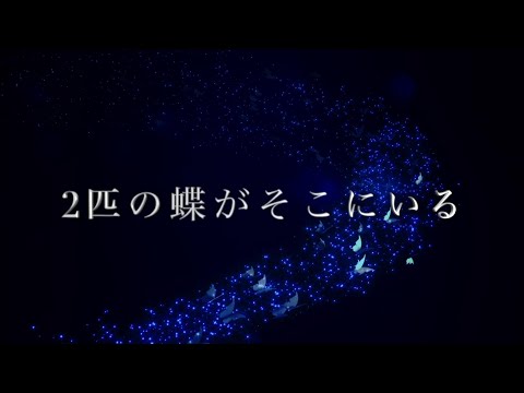 青学オンライン2023公開  法学部大石ゼミによる法廷劇「2匹の蝶がそこにいる」