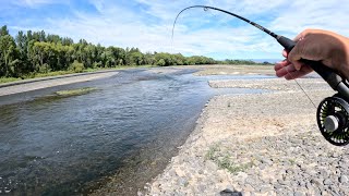 Fly Fishing for Healthy New Zealand Trout