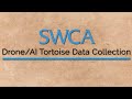 Desert Tortoise Data Acquisition | Drone Survey & Artificial Intelligence