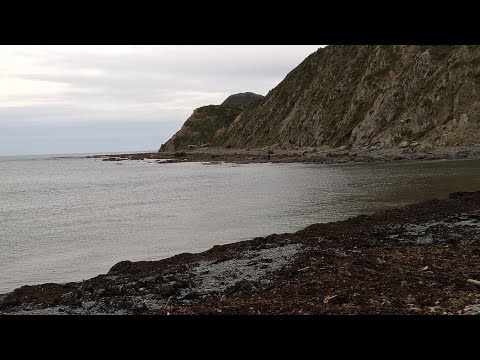 Lyall Bay Beach Next To Wellington Airport New Zealand