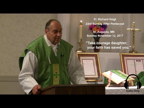 Fr. Richard Voigt, S.D.B. Sermon 23rd Sunday After Pentecost 2017