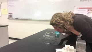 Bubble Lab Set up