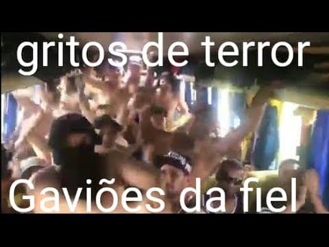 Gaviões da Fiel canta música provocando a Força jovem Goiás após briga