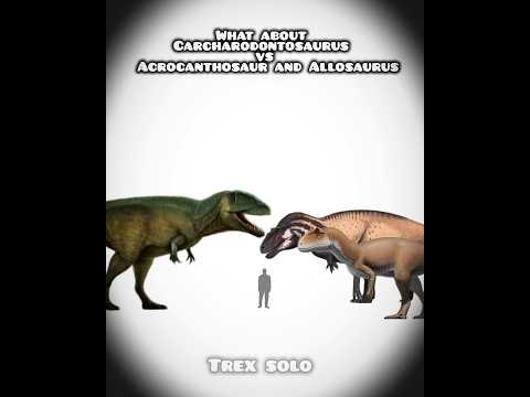 what about Carcharodontosaurus vs Acrocanthosaur and Allosaurus #dinosaur #trending #information