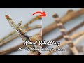 My Secret Hobby Wand Whittling How To Get A Wand Out Of A Stick Wood Carving For Beginners