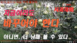 [사과재배] 8월 중순에 즈음하여