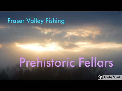 Prehistoric Fellars: Fraser River Sturgeon Fishing
