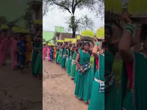 Hamar gav konari Bhojli visarjan