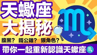 重新認識太陽天蠍座，一次講透透♏️