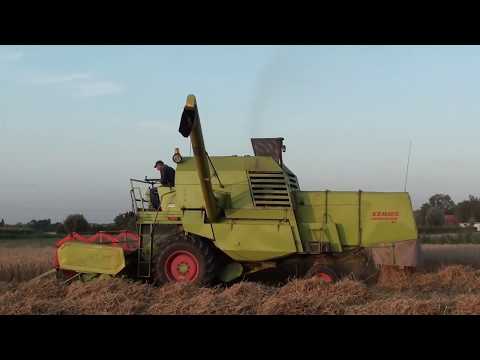 Landb. Van Belleghem - Zuienkerke - Claas Mercator 75