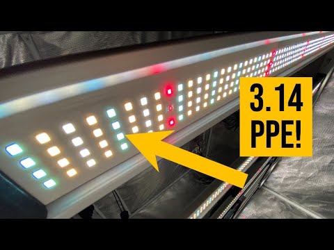 Why the Samsung LM301H EVO Mint Diode Is So Efficient