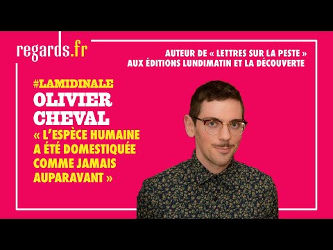 Vido de Olivier Cheval
