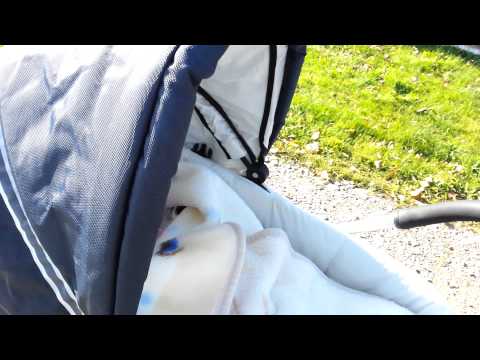 Gabrysia Zalewska pierwszy spacer