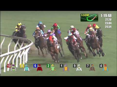 28/4/2021 (627) Fa Fa - Vincent Ho