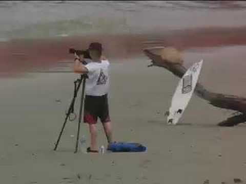 The Radical Rodents 2