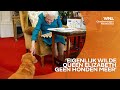Dit gebeurt er met de corgi's van Queen Elizabeth