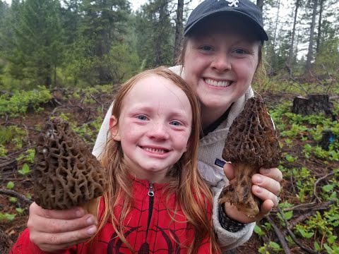 Giant morel mushrooms make kid cry of excitement! viral video #crying #morels