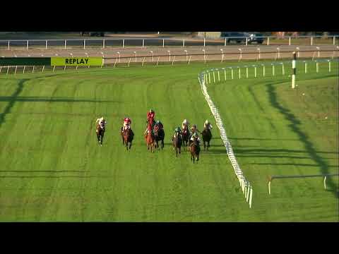 Tampa Bay Downs Live Stream