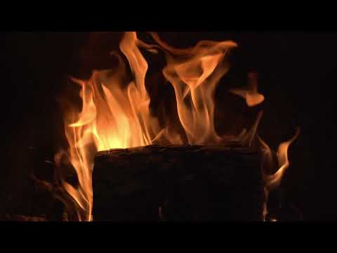 طاحن نجوم الليل – أحمد فكرون | Acoustic Cover 🎶