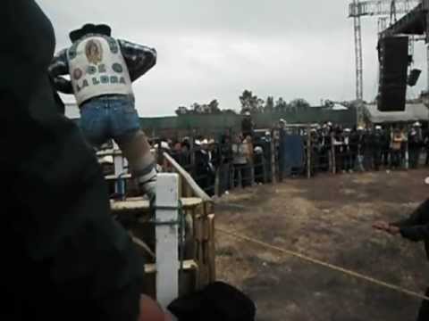 Toro El "100 fuegos"